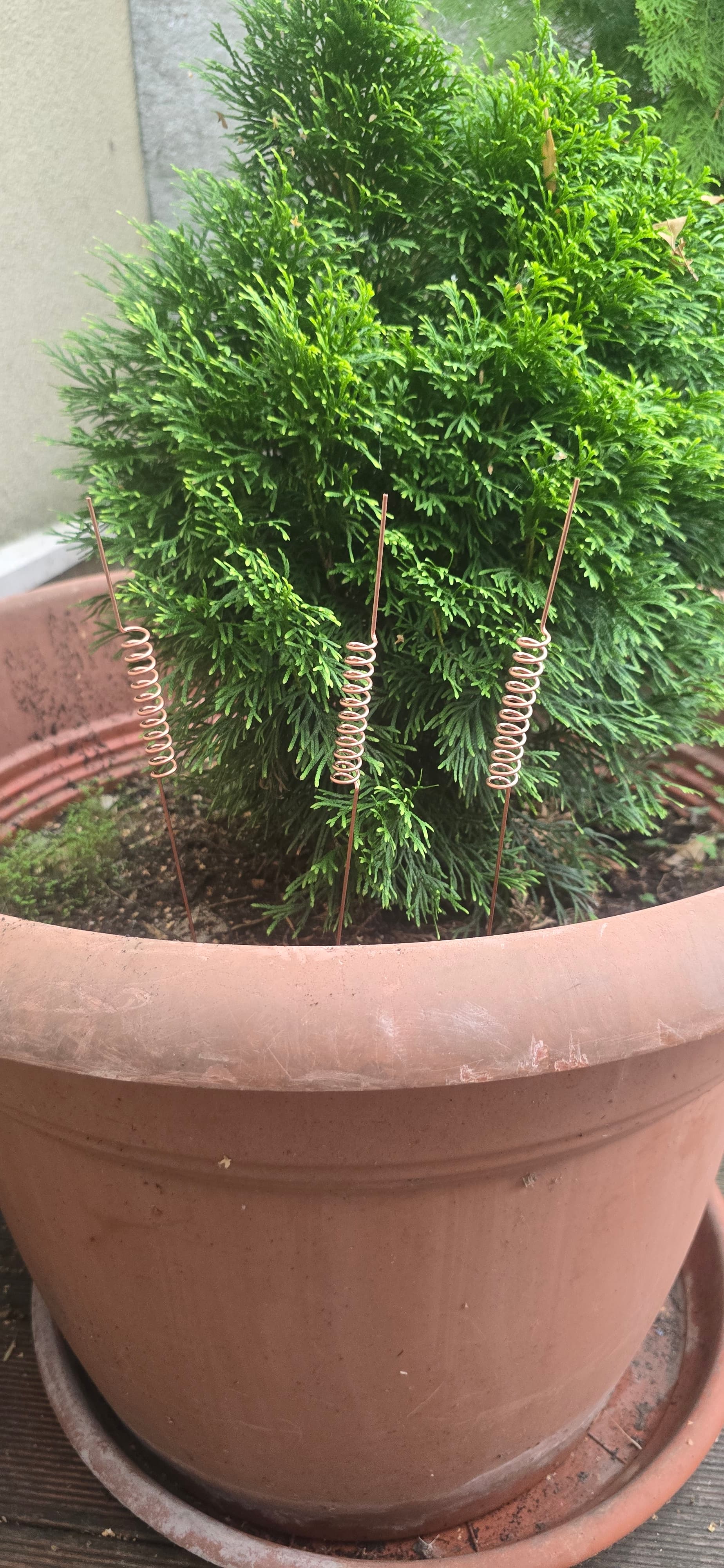 gallery-image-antennas