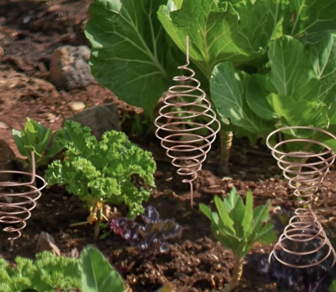 Медни Антени за електрокултура